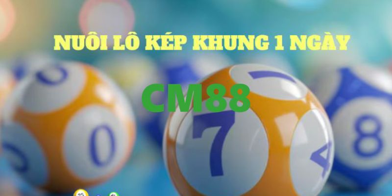 Nuôi Lô Kép Khung 1 Ngày Bất Bại Dành Cho Người Mới 1 Lô kép khung 1 ngày